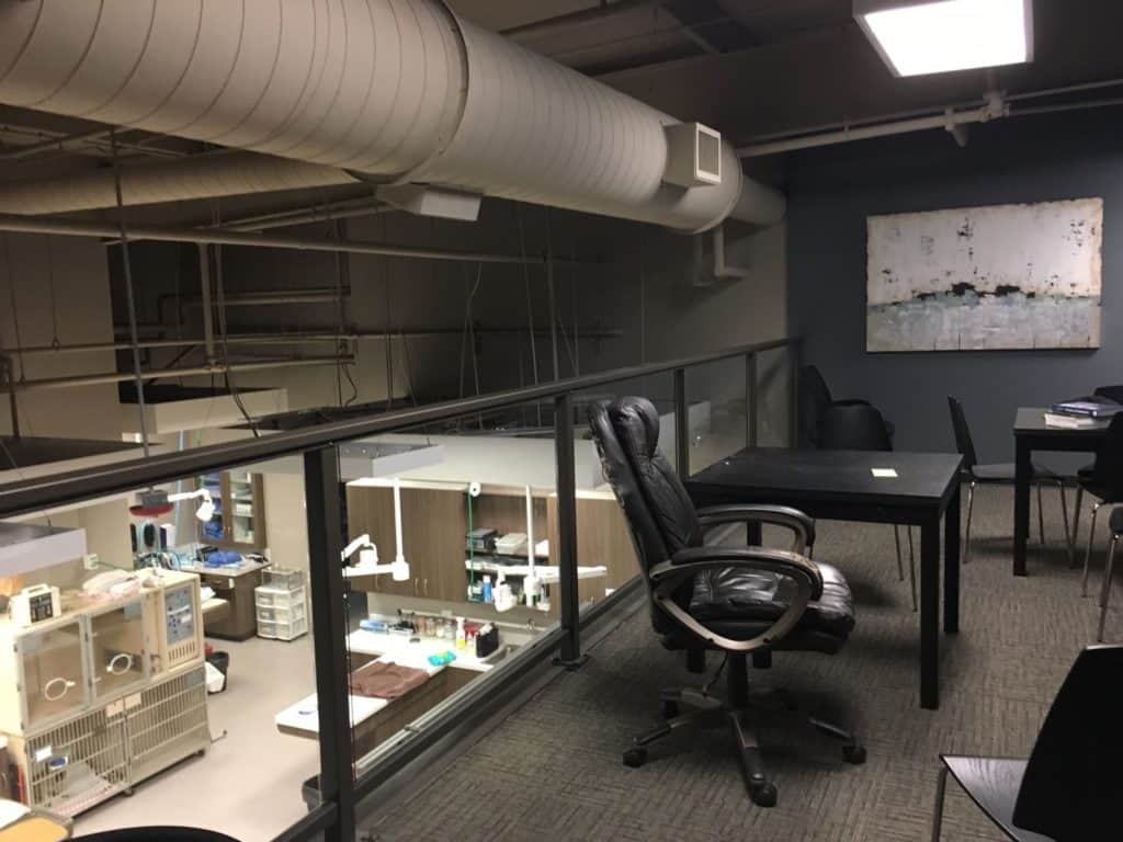 Interior view overlooking treatment area from upper level library of South Atlanta Veterinary Emergency and Specialty in Fayetteville, GA.