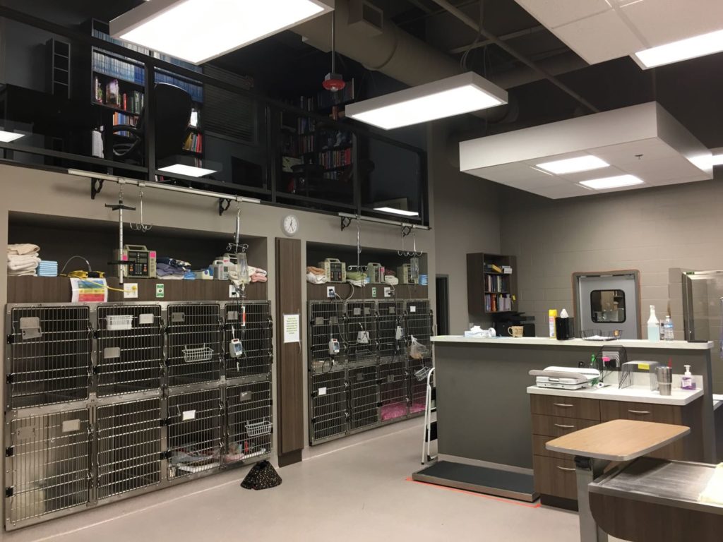 Interior view of treatment area and view of upper level library of South Atlanta Veterinary Emergency and Specialty in Fayetteville, GA.
